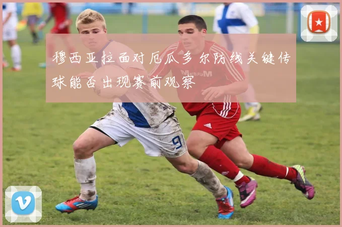 穆西亚拉面对厄瓜多尔防线关键传球能否出现赛前观察