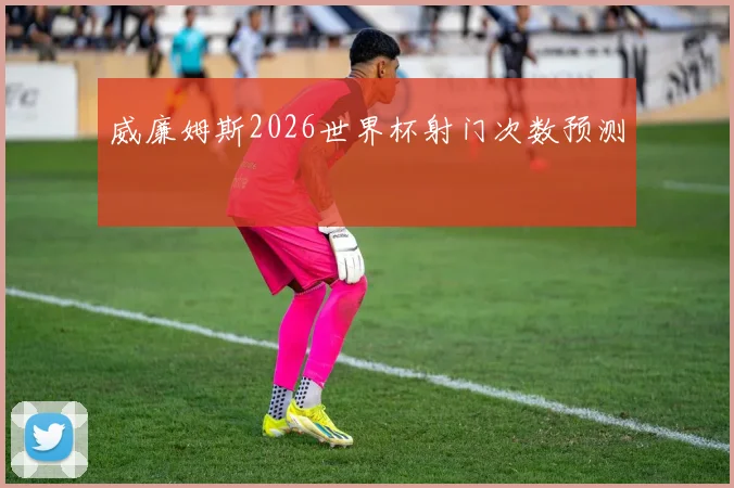 威廉姆斯2026世界杯射门次数预测