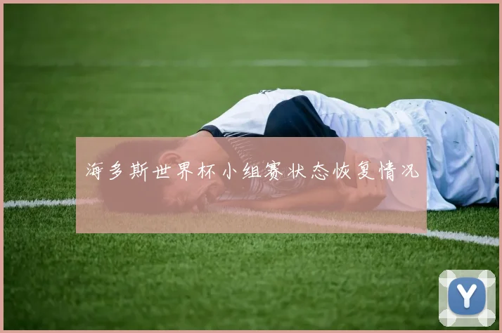海多斯世界杯小组赛状态恢复情况