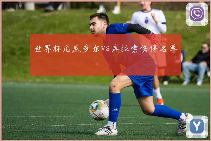世界杯厄瓜多尔vs库拉索伤停名单
