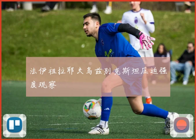 法伊祖拉耶夫乌兹别克斯坦压迫强度观察