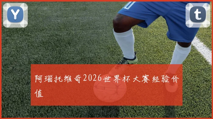 阿瑙托维奇2026世界杯大赛经验价值