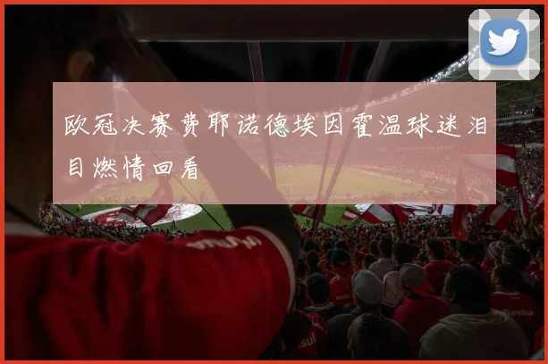 欧冠决赛费耶诺德埃因霍温球迷泪目燃情回看