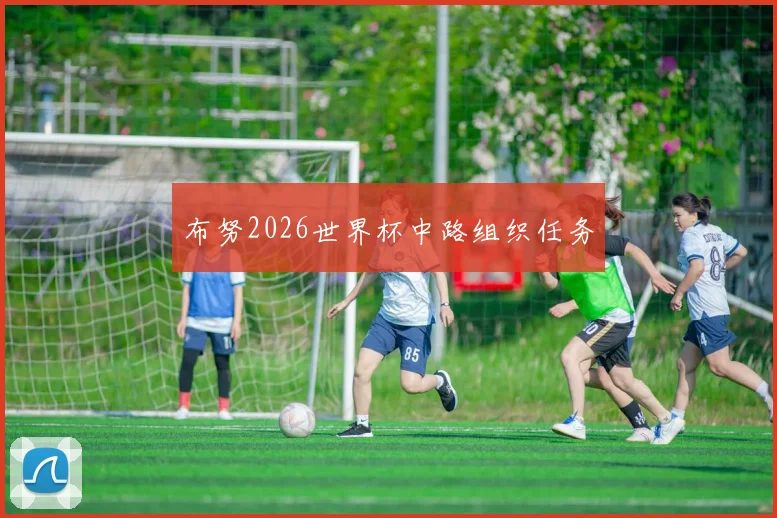 布努2026世界杯中路组织任务