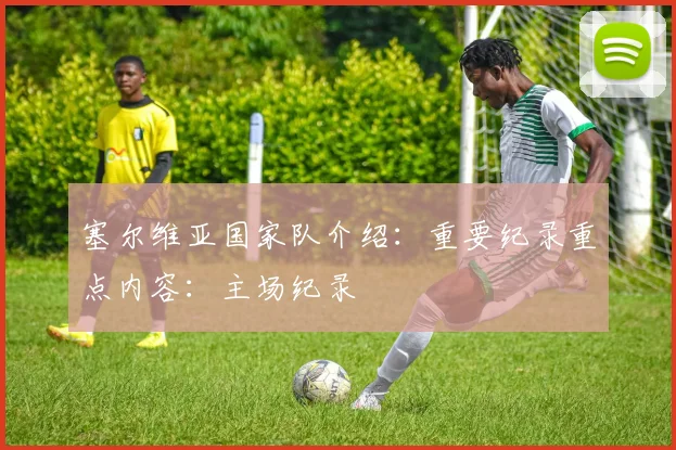 塞尔维亚国家队介绍：重要纪录重点内容：主场纪录