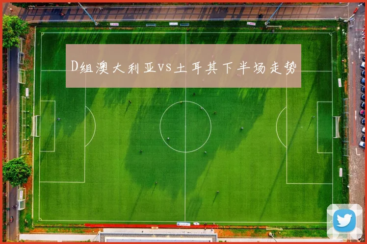 D组澳大利亚vs土耳其下半场走势