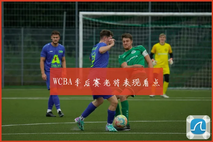WCBA季后赛老将表现看点